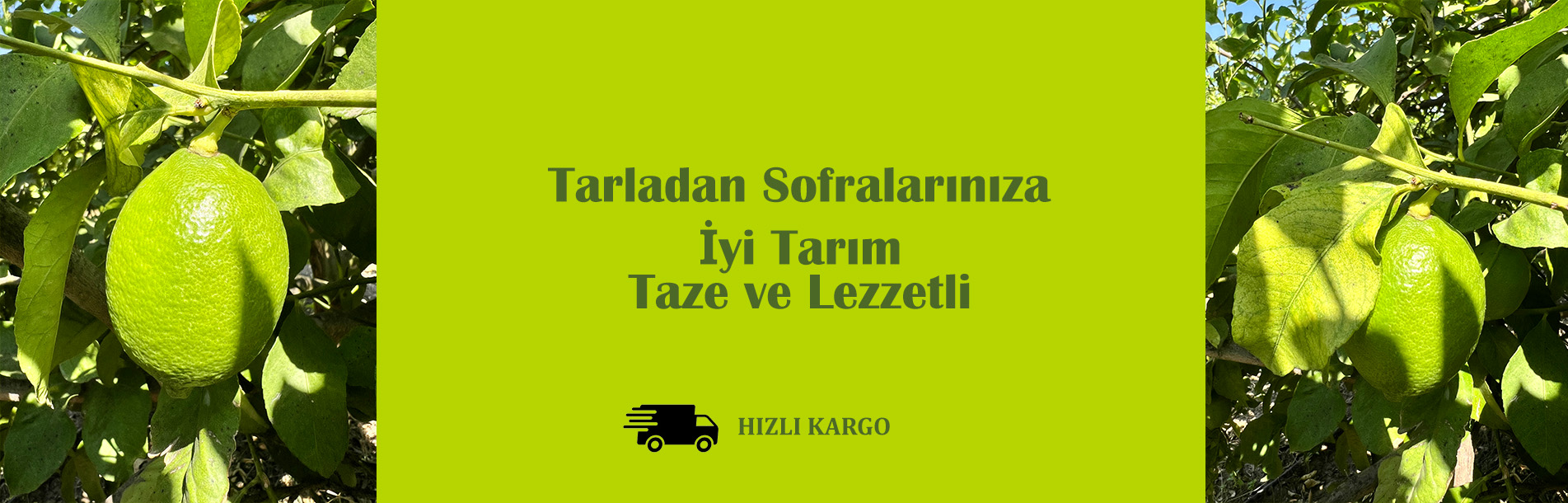 LİMON