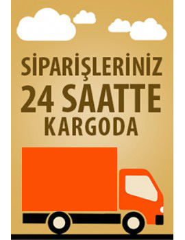 Başlık1