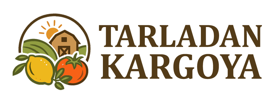 Tarladan Kargoya